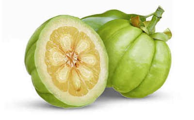 Garcinia-cambogia - does it work
