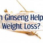 can Ginseng help in weight loss