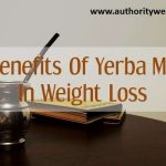 yerba-mate