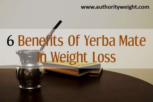 yerba-mate